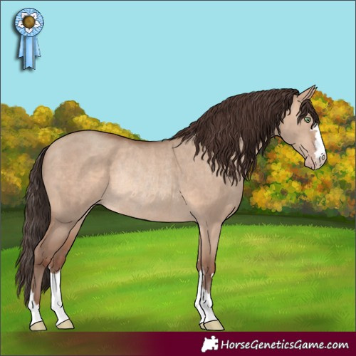 Horse Color:Sable Champagne Dun Rabicano