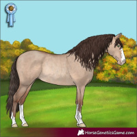 Horse Color:Sable Champagne Dun Rabicano