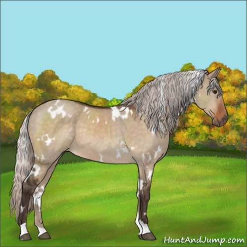 Horse Color:White Spotted Silver Brown Dun
