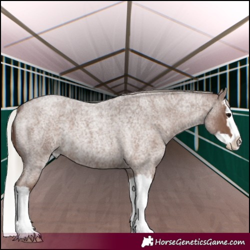 Horse Color:Silver Blue Roan Splash 