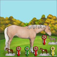 Horse Color:Silver Blue Roan Pearl Tobiano Frame 