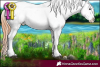 Horse Color:Blue Onyx Ice Pearl Near Leopard 