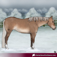 Horse Color:Silver Brown Dun Tobiano 