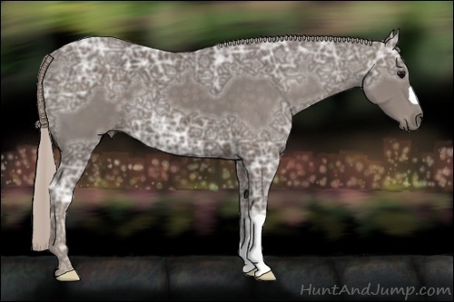 Horse Color:Silver Black Ice 