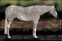 Horse Color:Silver Black Ice 