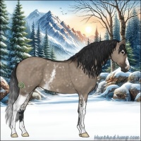 Horse Color:White Spotted Brown Dun Sabino