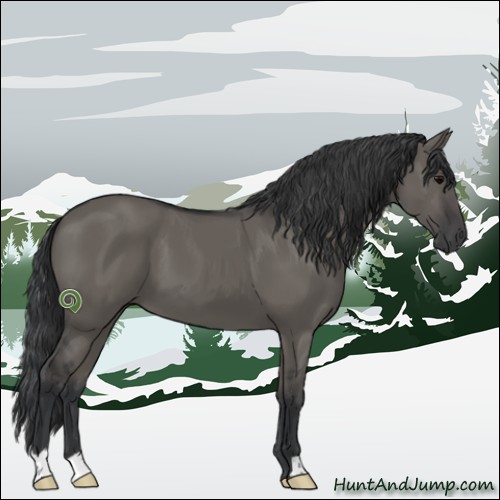 Horse Color:Grullo