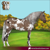 Horse Color:White Spotted Silver Brown Dun 