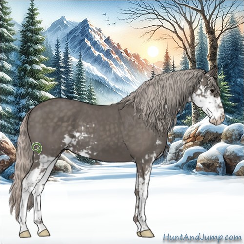 Horse Color:Silver Black Sabino 