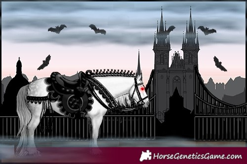 Horse Color:Gray Black 