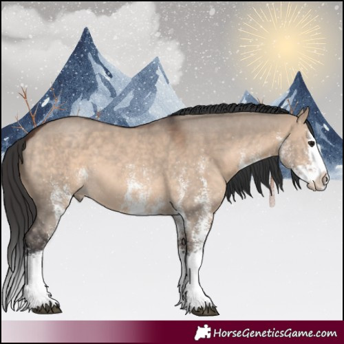 Horse Color:White Spotted Brown Dun Splash 