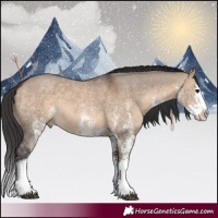 Horse Color:White Spotted Brown Dun Splash 