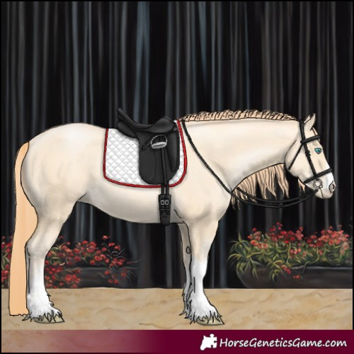 Horse Color:White Spotted Classic Cream Champagne Pearl 