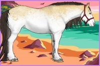 Horse Color:White Spotted Amber Champagne Dun