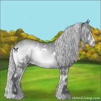 Horse Color:White Spotted Silver Blue Onyx Chinchilla Ice Sabino