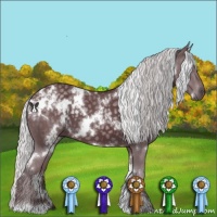 Horse Color:White Spotted Chocolate Silver Black Chinchilla 