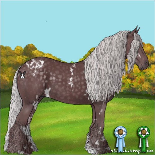 Horse Color:White Spotted Chocolate Silver Black Chinchilla 