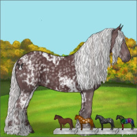 Horse Color:White Spotted Chocolate Silver Black Chinchilla  and White Spotted Chocolate Silver Black Chinchilla 