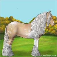 Horse Color:Silver Black Pearl Tobiano 