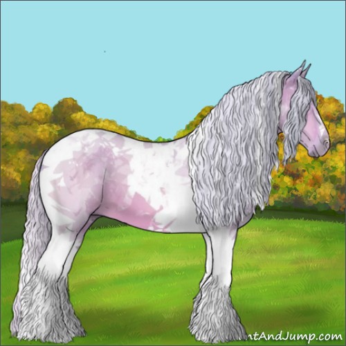 Horse Color:Watercolor Silver Bay Dun Tobiano 