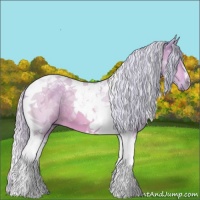 Horse Color:Watercolor Silver Bay Dun Tobiano 