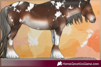Horse Color:White Spotted Liver Chestnut Mushroom Tobiano 