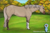 Horse Color:Silver Brown Dun
