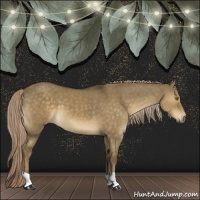Horse Color:Chocolate Palomino Dun 