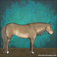 Horse Color:Chocolate Palomino Dun 