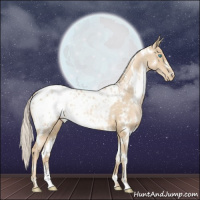 Horse Color:White Spotted Palomino Pearl Appaloosa 