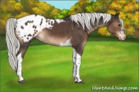 Horse Color:Liver Chestnut Mushroom Tobiano Blanket 