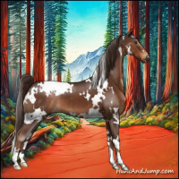 Horse Color:White Spotted Liver Chestnut