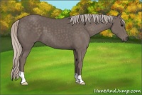 Horse Color:Silver Black 