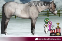 Horse Color:Brown Roan Dun 