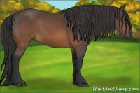 Horse Color:Brown 