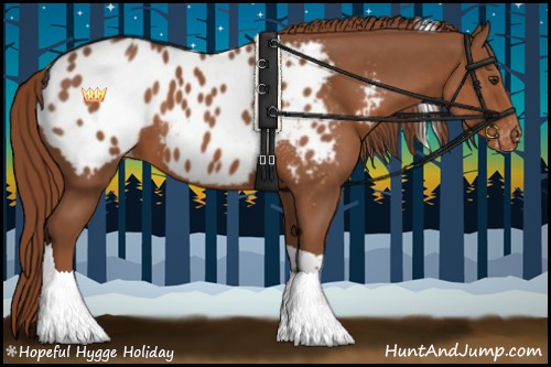 Horse Color:Chestnut Tobiano Appaloosa 