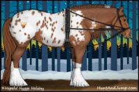 Horse Color:Chestnut Tobiano Appaloosa 