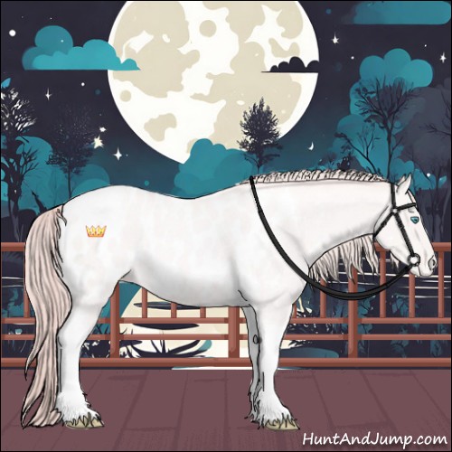 Horse Color:Perlino Roan Tobiano Near Leopard 