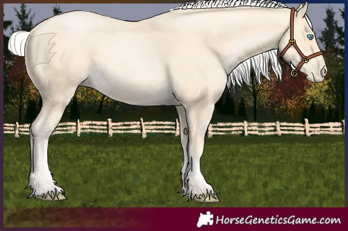 Horse Color:Silver Smoky Black Pearl