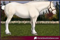 Horse Color:Silver Smoky Black Pearl 