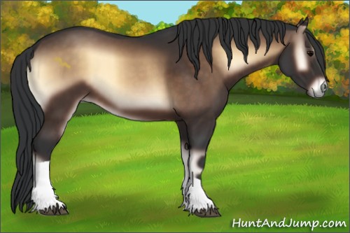 Horse Color:Brown Onyx Tobiano