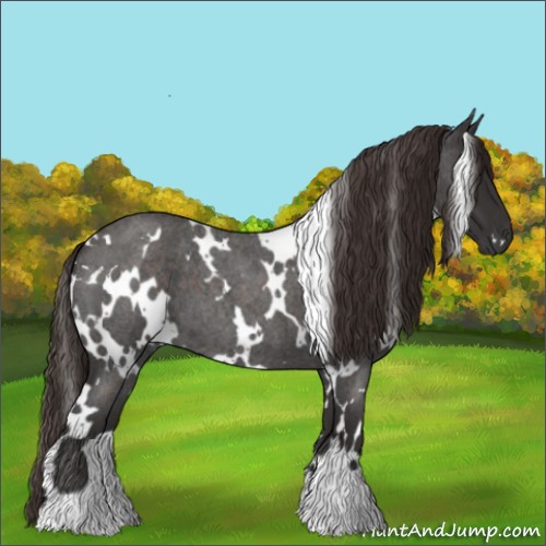 Horse Color:White Spotted Liver Red Roan 