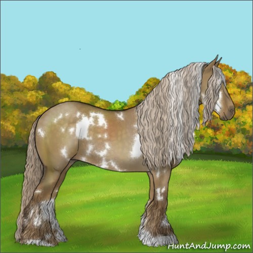 Horse Color:White Spotted Chocolate Palomino Dun