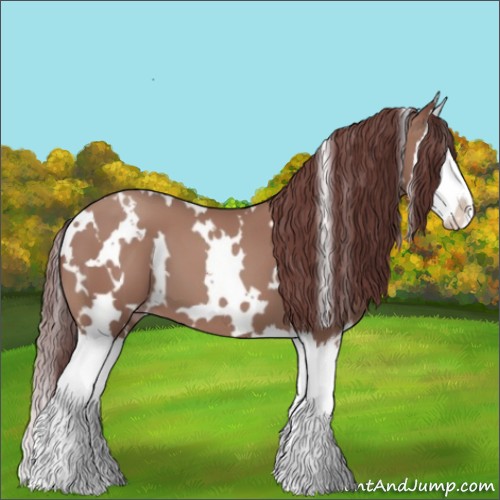 Horse Color:White Spotted Chocolate Classic Champagne Splash