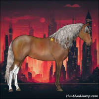 Horse Color:Silver Bay 
