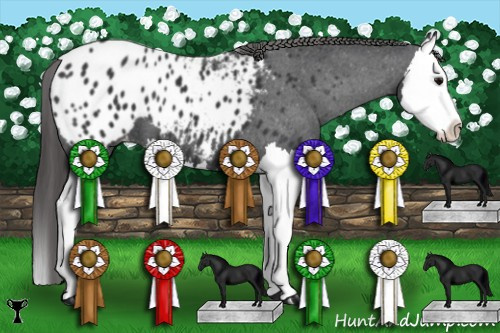 Horse Color:Black Splash Appaloosa 