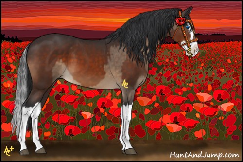 Horse Color:Brown Dun Splash and Brown Splash