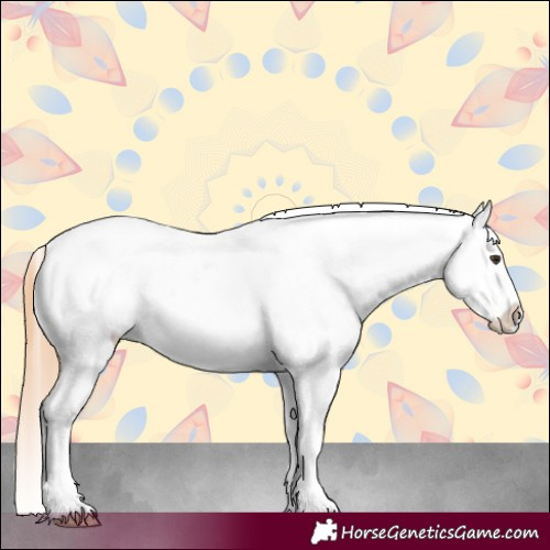 Horse Color:Chestnut Tobiano Blanket 