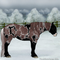 Horse Color:White Spotted Chocolate Black Sabino Splash 