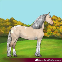Horse Color:Silver Bay Dun Tobiano 